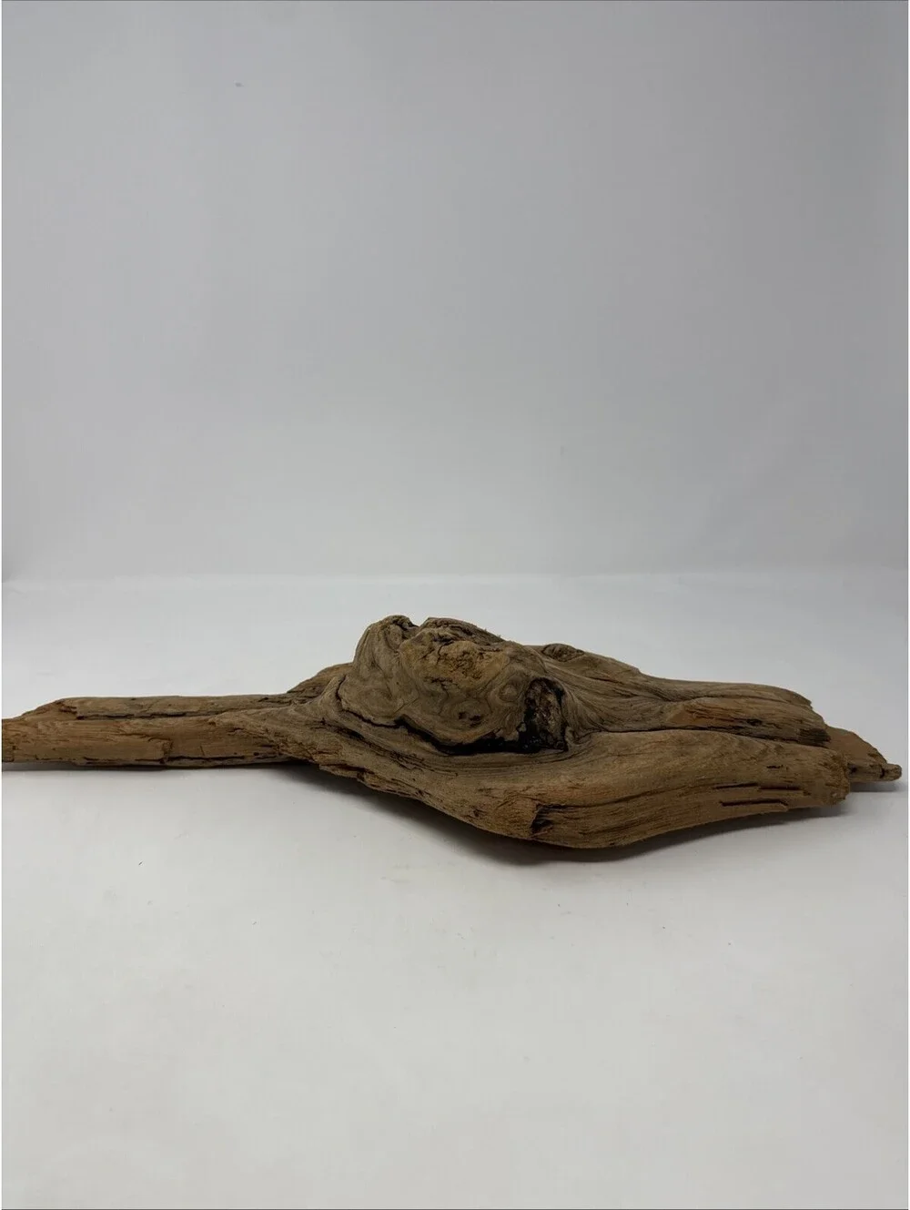 Natural Driftwood Decoration over 18